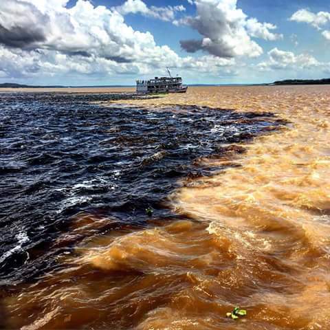 Encontro das águas Amazonas 1